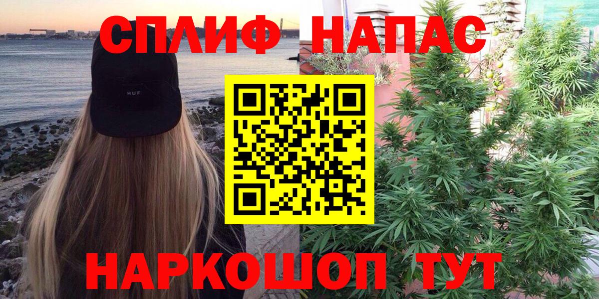 Бошки Шишки сатива Кимовск